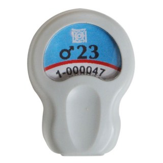 photo8.png