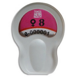 photo8.png